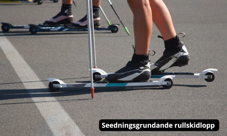 Seedningsgrundande rullskidlopp