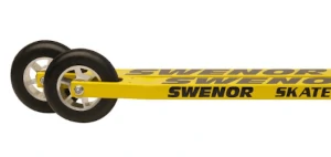 skaterullskidor